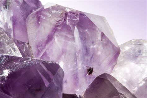 Free Images : purple, petal, stone, macro, pink, transparent, jewellery ...