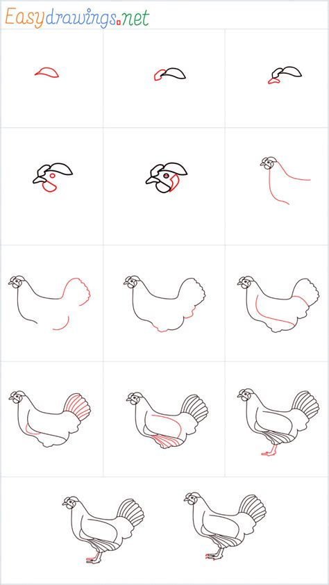 How To Draw A Hen Easy / Start from a simple question mark, draw the ...