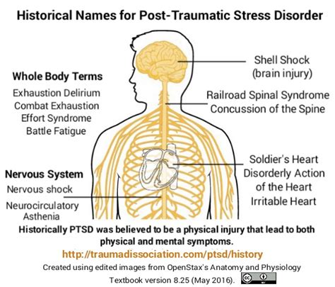 History of PTSD and Trauma Diagnoses - Shell shock to the DSM