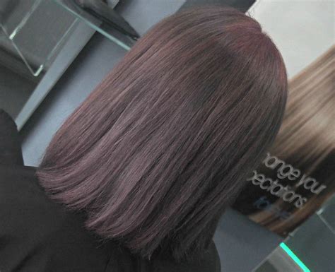 purple/mauve bob haircut | Hair cuts, Bobs haircuts, Long hair styles