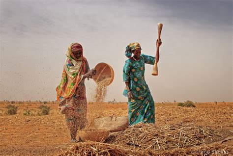 The "REAL" Hausa - Culture (8) - Nigeria