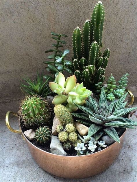 34 Inspiring Indoor Garden Succulent Ideas - MAGZHOUSE