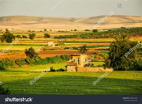 Syria landscape Images, Stock Photos & Vectors | Shutterstock