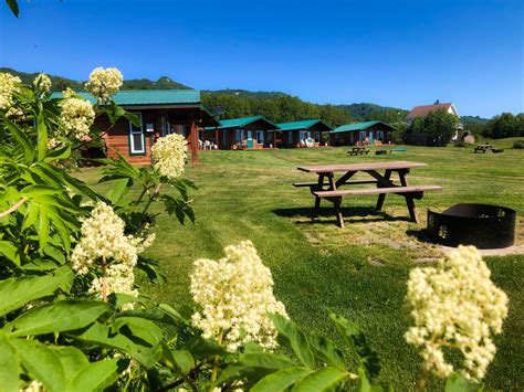 Glacier View Cabins, Homer | Homepage