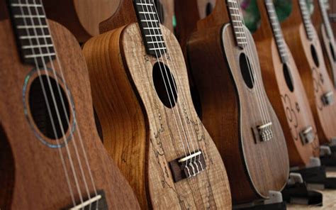 15 Best Ukulele Brands & 16 Best Beginner Ukulele Reviews 2020