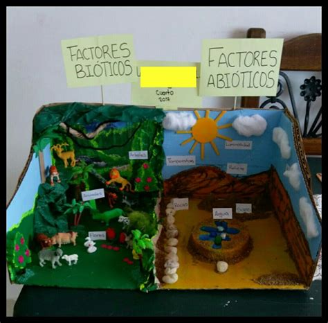 Factores bioticos y abioticos | Factores bioticos y abioticos, Maquetas ...