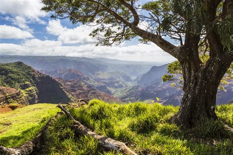 State & National Parks of Hawaii | Go Hawaii