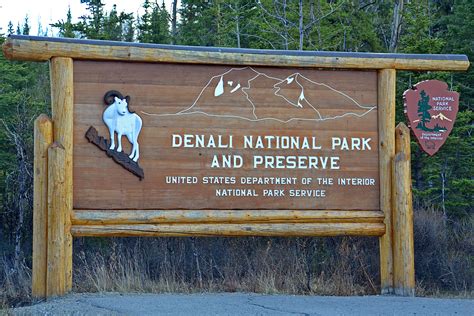 Photo Essay: Denali National Park | Travel, Photography, and Other Fun ...