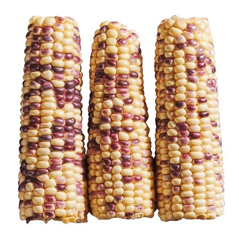 Buy Purple Corn 3 ea | HMart - H Mart