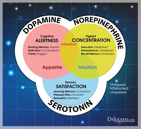 ADHD Medication (Stimulants and Non Stimulants) | Neuralia TMS