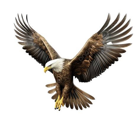 3d Eagle Isolated, Eagle, Fly, Flight PNG Transparent Image and Clipart for Free Download