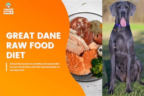 Great Dane Raw Food Diet: Feeding Guide, Recipes & Benefits - Canine Bible