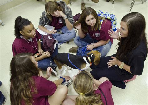 Vet camp offers experience for high school students | Mississippi State University Extension Service