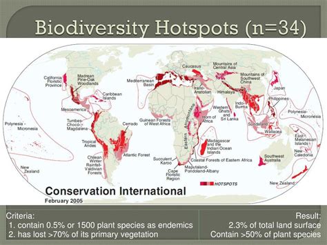 PPT - Biodiversity and Ecosystem Functioning PowerPoint Presentation, free download - ID:2205818