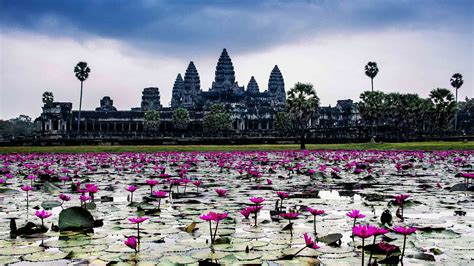 Angkor Wat HD Wallpaper Free Download