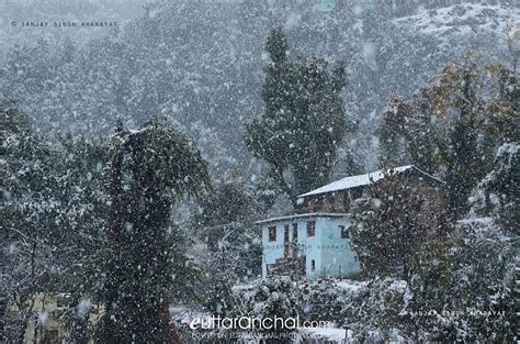 snow fall - Uttarakhand Photos