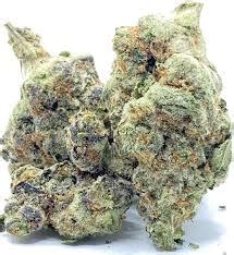 Buy Zaza weed strain - Supreme-Ganja - Order Cannabis Online 420