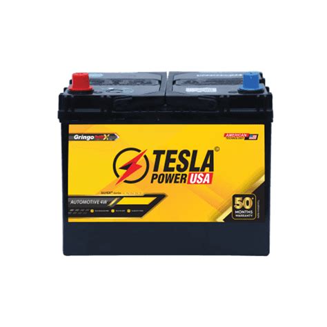 Buy online Tesla Power USA 74Ah Car Battery TPXXDIN74L from GZ ...