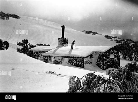 Negative - Mount Bogong, Victoria, 1950, The Cleve Cole Hut on Mt Bogong Stock Photo - Alamy