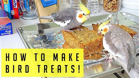 How to make bird treats easy! Cute cockatiel funny parrot!! :) - YouTube