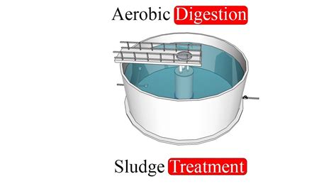 Aerobic Digestion - YouTube