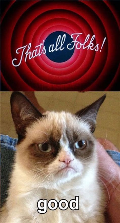 40 Funny Grumpy Cat Memes 3400 | Hot Sex Picture