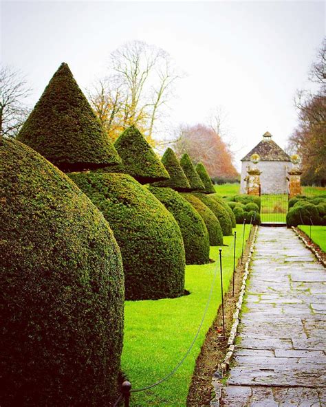 the beacon – on Instagram: “– Lytes Cary Manor, Somerset. Looked after ...