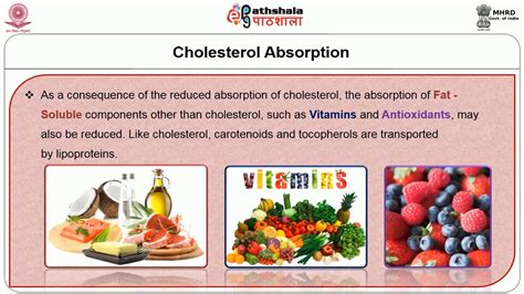 Plant Sterols – Stanol Esters ,Soy Phytoestrogens - YouTube