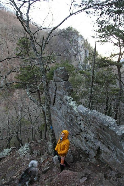 Photos of Seneca Rocks Trail - West Virginia | AllTrails