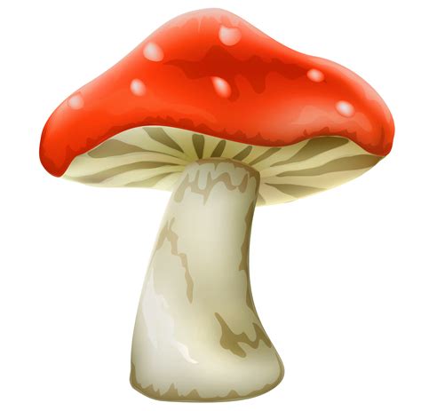 Red Mushroom With White Dots PNG Clipart - Best WEB Clipart