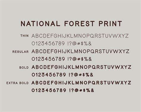 National Forest Font Duo | Etsy