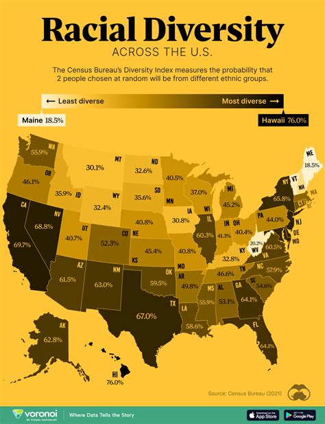 Mapped: Racial Diversity by U.S. State – The News Beyond Detroit