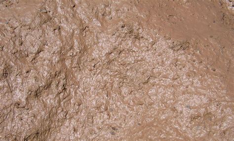 File:Mud closeup.jpg - Wikimedia Commons