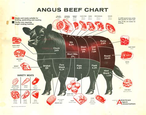 Five Things I Learned Making a Chart Out of Body Parts - Learning - Source: An OpenNews project