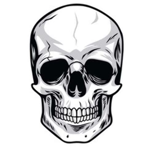 Skull ClipArt SVG