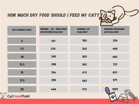 ¿Cuánta comida seca debo darle a mi gato por día? (Gráfico 2023 ...