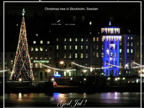 Christmas tree in Stockholm, Sweden