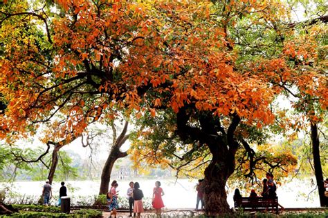 Hoan Kiem Lake Hanoi | History + What to Do + Photo + Map