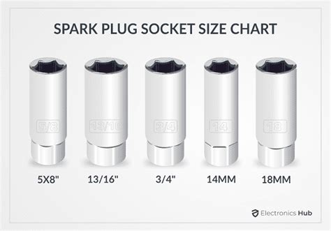 Plant Plug Size Chart