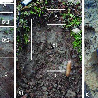 -Examples of soil types: a) Entisol in the medial part of the Tista DFS... | Download Scientific ...