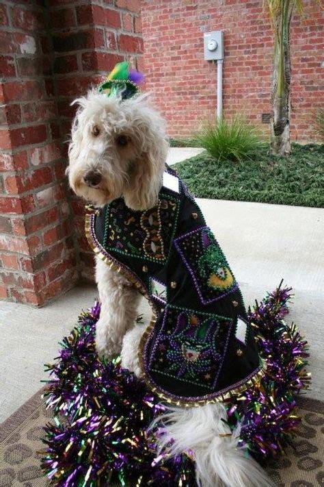 15 Mardi gras costume ideas | mardi gras costumes, mardi gras, mardi