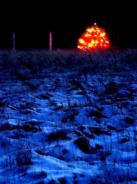 Lighted Tree in Snowy Field | Photo taken December 5, 2004, … | Flickr