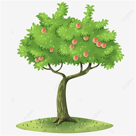 Peach Illustrations PNG Transparent, Peach Tree Illustration, Peach, Tree, Nature PNG Image For ...