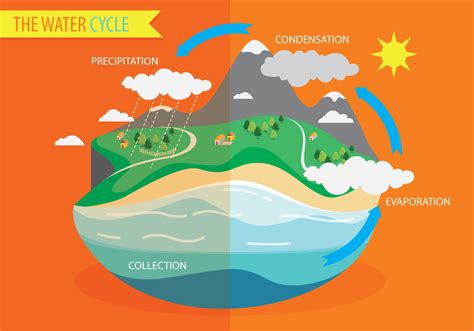 [DIAGRAM] Acid Rain Water Cycle Diagram - MYDIAGRAM.ONLINE