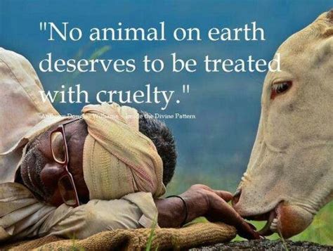 Respect For Animals Quotes. QuotesGram