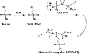 Lithium sulfonate-grafted poly(vinylidenefluoride-hexafluoro propylene ...