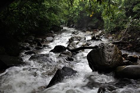 12-hours monsoon road trip exploring Tamhini Ghat (INR 300)