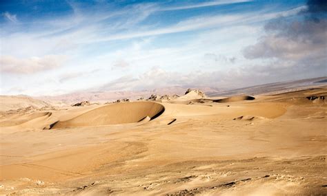 Peru’s Ocucaje Desert Attracts Fossil Hunters and Smugglers - The New ...