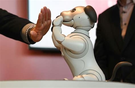 Old dog, new tricks: Sony unleashes 'intelligent' robot pet