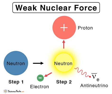 Weak Force Diagram